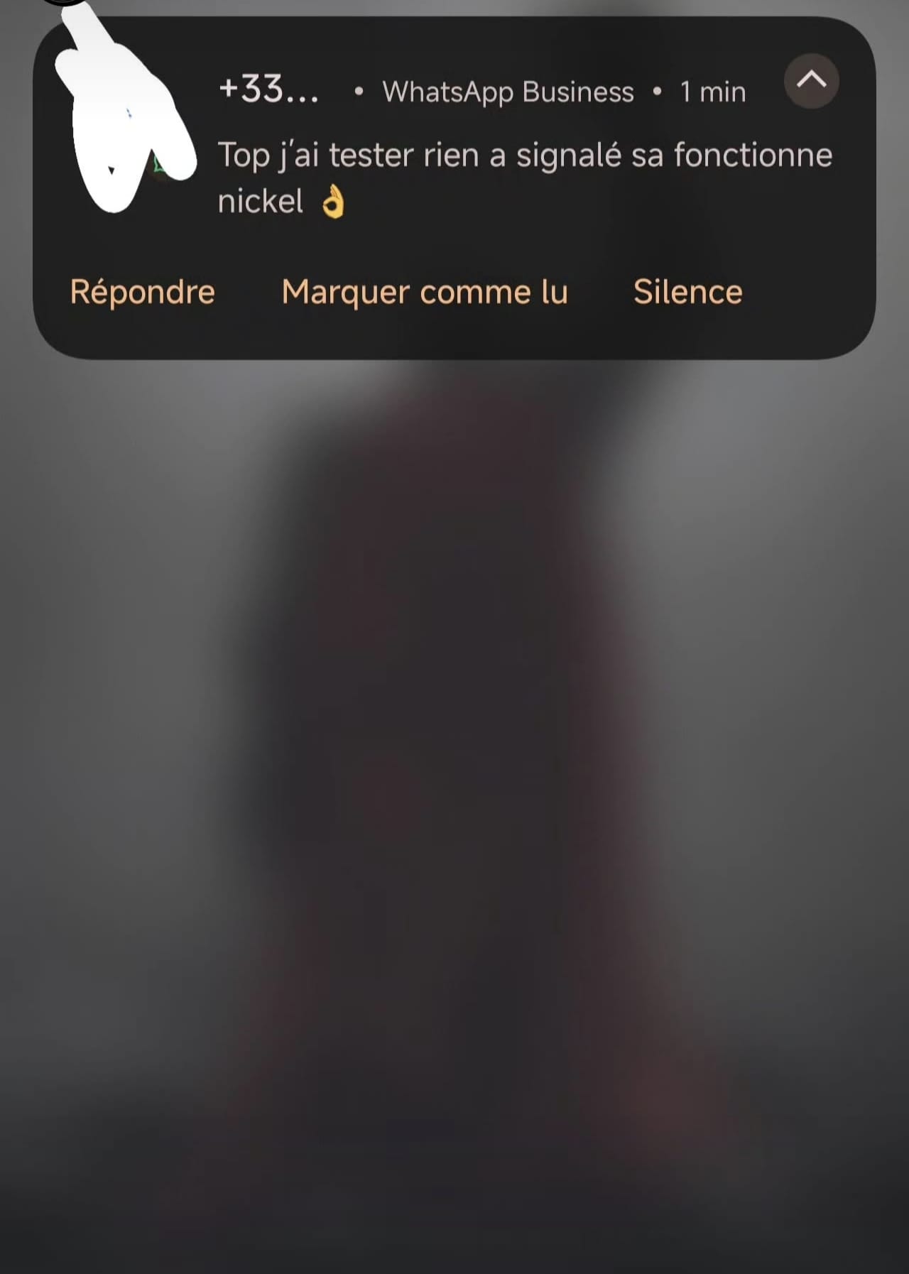Capture d'un retour client
