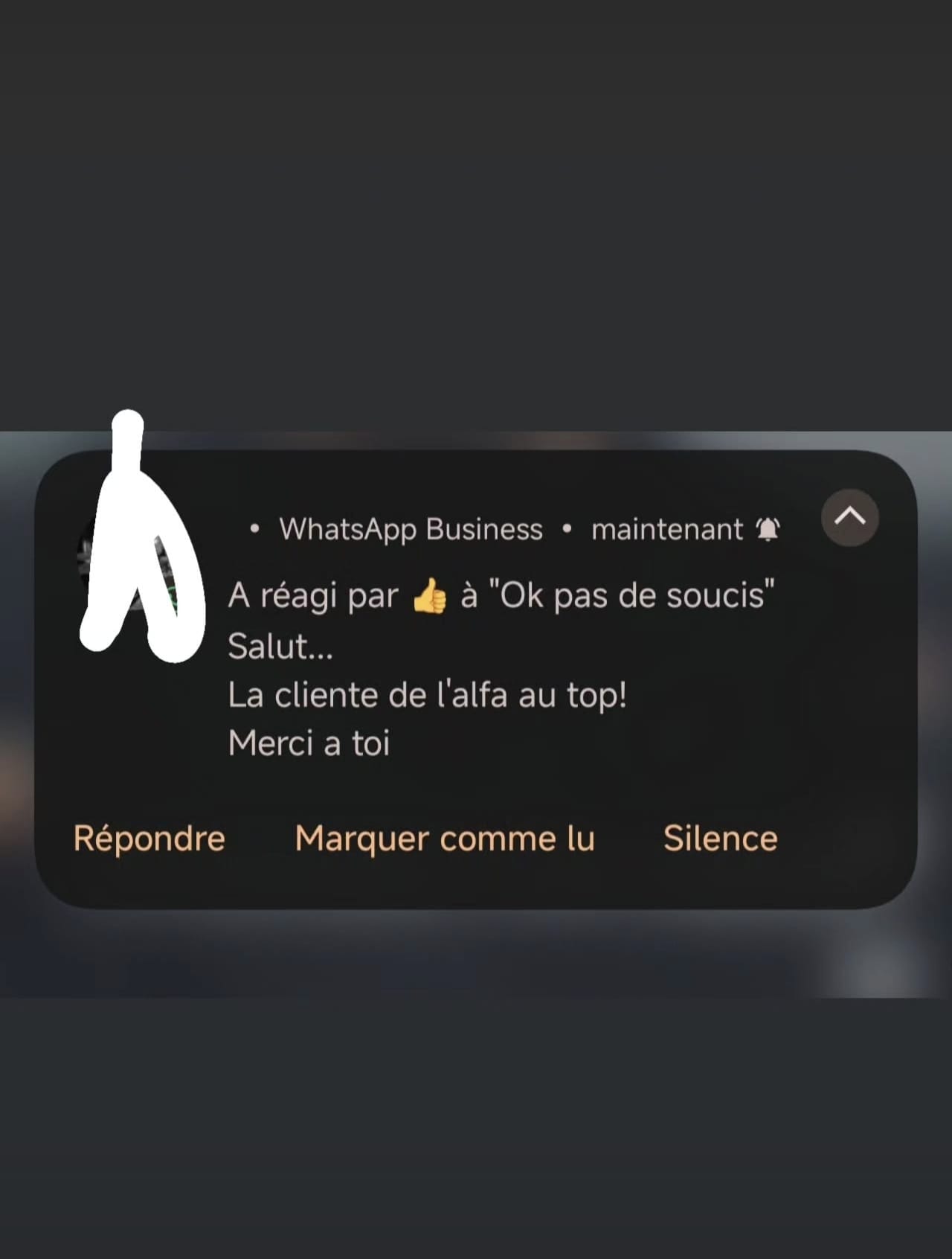 Capture d'un retour client
